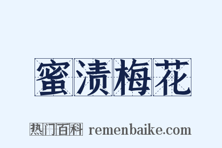 蜜渍梅花是什么意思的图片